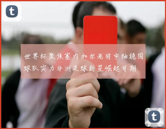 世界杯聚焦塞内加尔老将中轴稳固球队实力非洲足球新星崛起可期