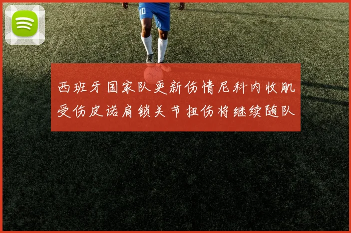 西班牙国家队更新伤情尼科内收肌受伤皮诺肩锁关节扭伤将继续随队训练